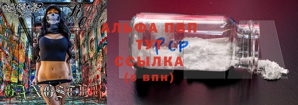 гашик Абаза