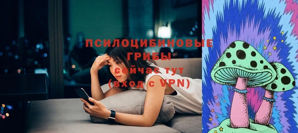 ГАЛЛЮЦИНОГЕННЫЕ ГРИБЫ Абинск