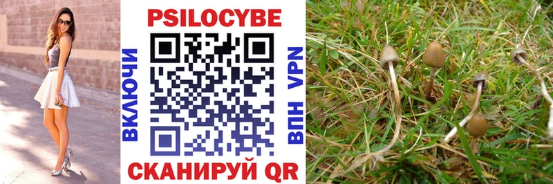 Галлюциногенные грибы мицелий  где купить наркоту  ОМГ ОМГ как войти  Елизаветинская 