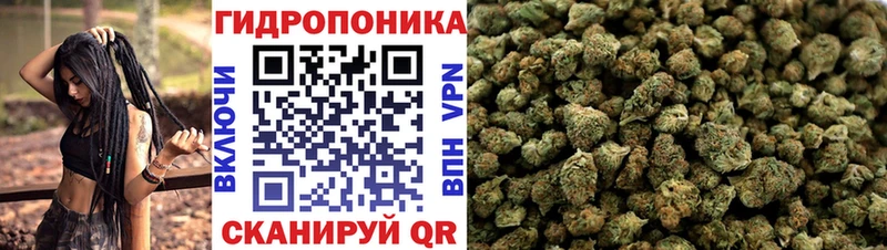 МАРИХУАНА Ganja  Елизаветинская 